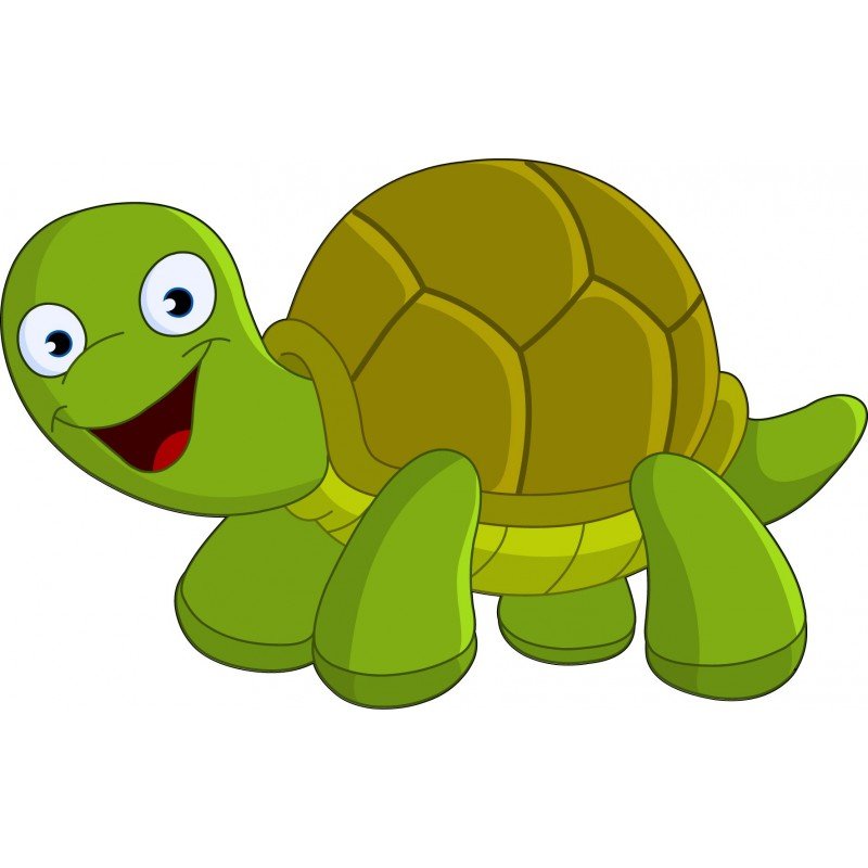 Sticker Pack Tortue